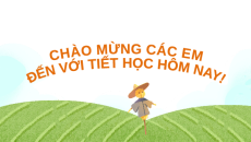 Giáo án Powerpoint Bài 15 Địa lí 12 Chân trời sáng tạo: Thực hành