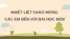 Giáo án Powerpoint Ôn tập chủ đề 3 Sinh học 11 Cánh diều