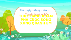 Giáo án Powerpoint Bài 13 Tự nhiên xã hội lớp 3 Chân trời sáng tạo: Thực hành: Khám phá cuộc sống xung quanh em