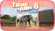 Giáo án Powerpoint Unit 2: Life in the countryside Tiếng Anh 8 Global success
