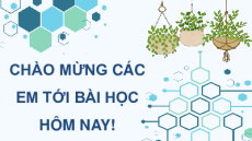 Giáo án Powerpoint Bài 2 Sinh học 11 Chân trời sáng tạo: Trao đổi nước và khoáng ở thực vật