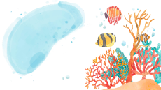 Giáo án Powerpoint Bài 12: Phòng, tránh đuối nước Đạo đức lớp 1 Chân trời sáng tạo