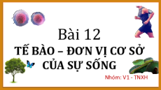 Bài giảng Powerpoint Sinh học - KHTN 6 Cánh diều