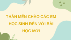 Giáo án Powerpoint Ôn tập Chương 4 Sinh học 11 Chân trời sáng tạo