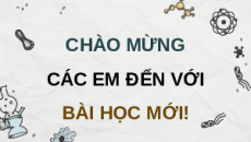 Giáo án Powerpoint Chuyên đề Bài 3: Một số ứng dụng phổ biến của Công nghệ sinh học trong nhân giống vật nuôi lớp 11 Kết nối tri thức
