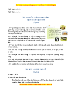 Giáo án Muôn loại chung sống Tiếng việt 2 Cánh diều