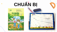 Giáo án Powerpoint Bài 21 Tự nhiên xã hội lớp 2 Kết nối tri thức: Tìm hiểu cơ quan vận động