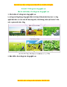 Lý thuyết Công nghệ 10 Trồng trọt Cánh diều Bài 20: Giới thiệu về trồng trọt công nghệ cao