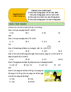 Bài tập cuối tuần Toán lớp 5 Chân trời sáng tạo Tuần 13