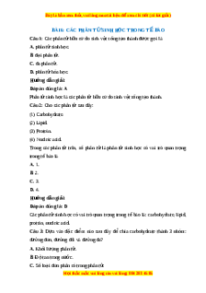 Trắc nghiệm Sinh học 10 Bài 6 Chân trời sáng tạo: Các phân tử sinh học trong tế bào