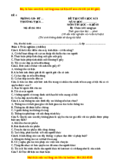 Đề thi cuối kì 1 Tin học 8 Chân trời sáng tạo (Đề 4)