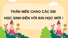 Giáo án Powerpoint Bài 3 Công nghệ lớp 4 Chân trời sáng tạo: Gieo hạt và trồng hoa trong chậu