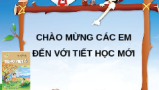 Giáo án Powerpoint Luyện từ và câu: Cách dùng và công dụng của từ điển (trang 64, 65) Tiếng việt lớp 4 Kết nối tri thức