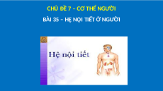 Giáo án Powerpoint Hệ nội tiết ở người Sinh học - KHTN 8 Cánh diều