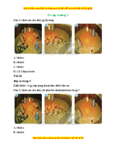 Trắc nghiệm Công nghệ 7 Ôn tập chương 3 Kết nối tri thức