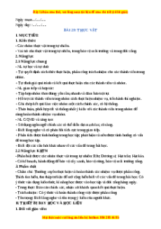 Giáo án Bài 29 KHTN 6 Chân trời sáng tạo (2024): Thực vật