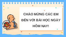 Giáo án Powerpoint Khái quát về cảm ứng ở sinh vật Sinh học 11 Cánh diều