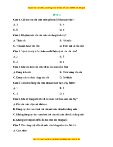 Đề thi cuối kì 2 Công nghệ 6 Kết nối tri thức (Đề 2)