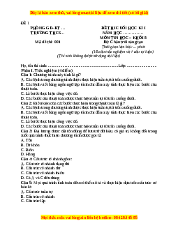 Đề thi cuối kì 2 Tin học 8 Chân trời sáng tạo (Đề 1)