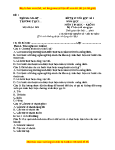 Đề thi cuối kì 2 Tin học 8 Chân trời sáng tạo (Đề 1)