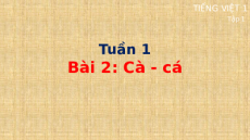 Giáo án Powerpoint Bài 2: cà, cá Tiếng việt lớp 1 Cánh diều