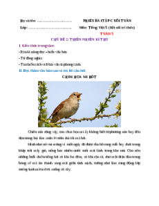 Bài tập cuối tuần Tiếng Việt lớp 5 Kết nối tri thức Tuần 5