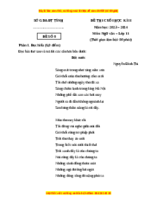 Đề thi cuối kì 2 Ngữ văn 11 Chân trời sáng tạo (Đề 8)