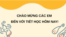 Giáo án Powerpoint Bài 28: Thực hành: Lên men Sinh học 10 Chân trời sáng tạo