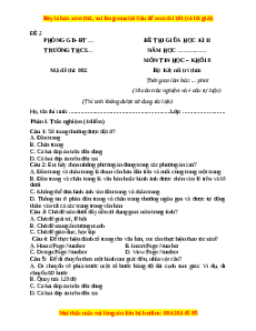 Đề thi cuối kì 2 Tin học 8 Kết nối tri thức (Đề 2)