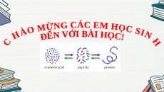 Giáo án Powerpoint Protein và enzyme Hóa học 12 Kết nối tri thức