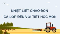 Giáo án Powerpoint Bài 12 Địa lí 12 Chân trời sáng tạo: Vấn đề phát triển nông nghiệp