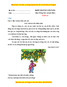 Bài tập cuối tuần Tiếng việt lớp 1 Tuần 31 Cánh diều (có lời giải)