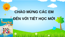 Giáo án Powerpoint Chia sẻ và đọc Rừng gỗ quý - Tự đọc sách báo - Viết - Nói và nghe Tiếng việt lớp 3 Cánh diều