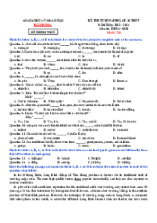 Đề thi vào 10 Tiếng Anh Thành phố Hải Phòng năm 2023-2024