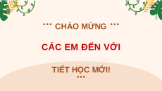 Giáo án Powerpoint Luyện từ và câu: Biện pháp nhân hoá Tiếng việt lớp 4 Chân trời sáng tạo (Phiên bản 2)