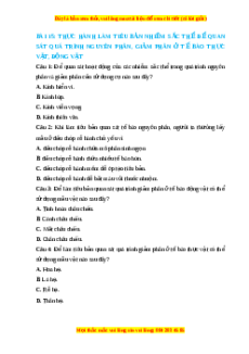 Trắc nghiệm Thực hành làm tiêu bản nhiễm sắc thể để quan sát quá trình nguyên phân, giảm phân ở tế bào thực vật, dộng vật Sinh học 10 Cánh diều