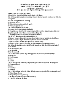 Đề thi Cuối kì 1 Tin học 9 Kết nối tri thức (Đề 2)