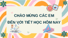 Giáo án powerpoint Hàm số bậc nhất y = ax + b (a ≠ 0) Toán 8 Chân trời sáng tạo