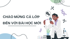 Giáo án Powerpoint Bài tập Chủ đề 11 KHTN 9 Cánh diều