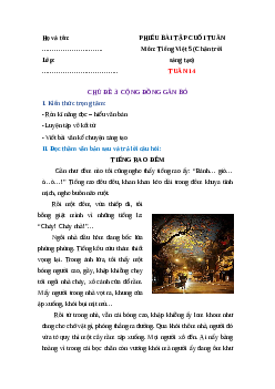 Bài tập cuối tuần Tiếng Việt lớp 5 Chân trời sáng tạo Tuần 14