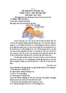 Đề thi cuối kì 1 Tiếng Việt lớp 5 Kết nối tri thức (Đề 3)