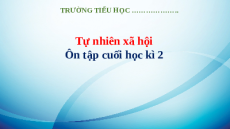 Giáo án Powerpoint Ôn tập cuối kì 2 Tự nhiên xã hội lớp 3 Kết nối tri thức