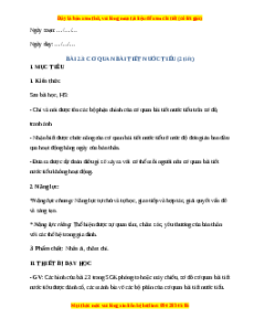 Giáo án Cơ quan bài tiết nước tiểu TNXH lớp 2 Chân trời sáng tạo