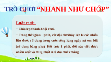 Giáo án Powerpoint Bài 14 Hóa học - KHTN 6 Kết nối tri thức: Một số nhiên liệu