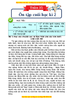 Bài tập cuối tuần Tiếng Việt 4 Tuần 35 Kết nối tri thức (có lời giải)