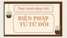 Giáo án Powerpoint Thực hành tiếng Việt trang 52 Ngữ văn 11 Cánh diều