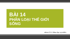 Giáo án Powerpoint Bài 14: Phân loại thế giới sống KHTN 6 Cánh diều