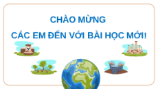 Giáo án Powerpoint Bài 13 Địa lí 9 Kết nối tri thức: Thực hành