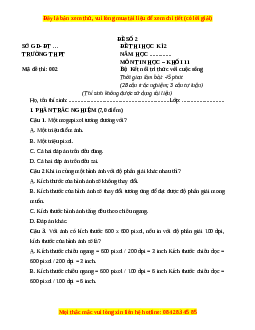 Đề thi cuối kì 2 Tin học 11 Kết nối tri thức (Đề 2)