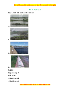 Trắc nghiệm Công nghệ 7 Bài 15 Kết nối tri thức: Nuôi cá ao